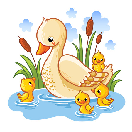 Vector illustration of a duck and ducklings. Mother duck swims in the lake with small ducklings around grass. Farm bird duck in cartoon style.のイラスト素材