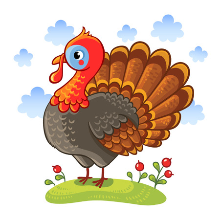 Cute cartoon character turkey. Turkey isolated on a white background, vector illustration. Farm animal.のイラスト素材