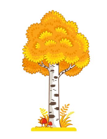 Single yellow birch stands in a clearing with mushrooms on a white background. Vector illustration with tree on autumn theme in cartoon style.のイラスト素材