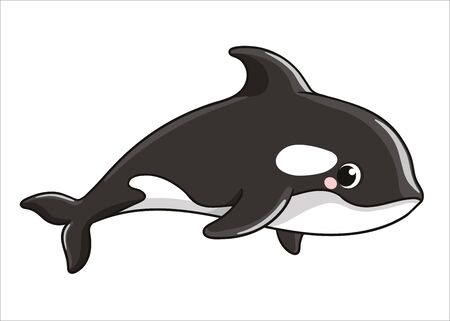 Cute grampus whale on a white background in cartoon style. Vector illustration with mammal in cartoon style.のイラスト素材
