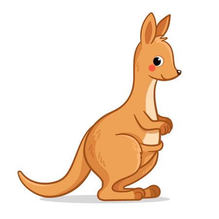Cute kangaroo stands on a white background. Vector illustration with australian animal in cartoon style.のイラスト素材