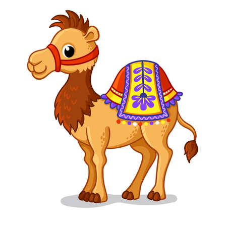 Cute camel stands on a white background in a cartoon style. Vector illustration with cute animals.のイラスト素材