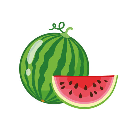 Vector illustration with watermelon on a white background. Watermelon in cartoon style on a children's theme.のイラスト素材