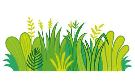 Grass on a white background. Vector illustration with green plants in cartoon style.のイラスト素材