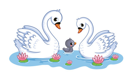 A cute family of swans swims in a pond. Vector illustration with cute wild birds in cartoon style. The cygnet with his parents.のイラスト素材