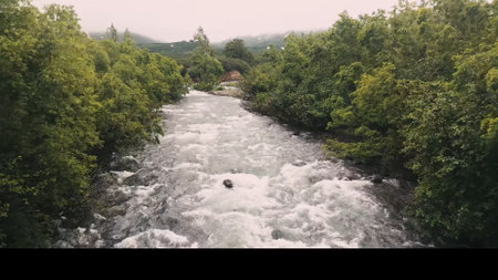 Rough mountain river on a wooded hill