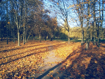 Friendship Park in Lithuania, 2017 Autumnの写真素材