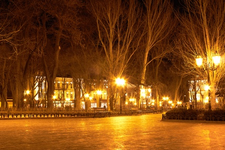 City park at nightの写真素材