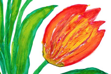 Flowers drawn by water color paintsの写真素材