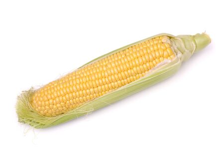 Corn on the cob isolated on white