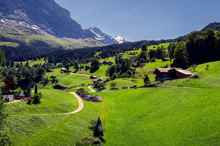 Panorama of picturesque alpine scene with chalets and vibrant green meadows near Grindelwald in Jungfrau region, Switzerlandの写真素材