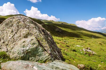 Green pastures high up in the Pennine Alps in summer. Sorebois, Zinal, Val d'Anniviers, Valais, Switzerland.の写真素材