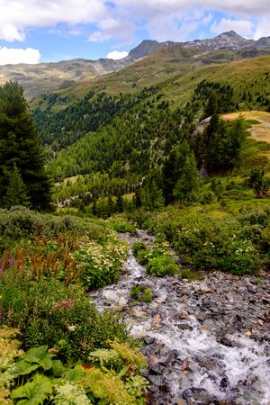 Beautiful panorama on the pennine Alps with a small mountain river, green pastures, trees and rocky mountain peaks. Saint-Luc, Valais, Switzerlandの写真素材