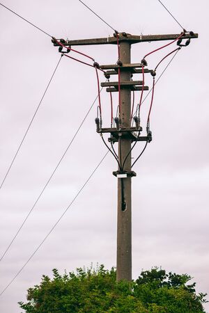 Electric pole with wires above some green foliageの写真素材