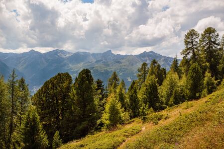 Spectacular scenery in the Swiss Alps with larches in the foreground and Pennine Alps in the background under dramatic cloudy sky in summer. Val d' Anniviers, Valais, Switzerlandの写真素材