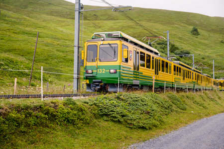 Lauterbrunnen, Bernese Oberland, Switzerland - July 29 2019: Yellow and green train of Wengernalpbahn (WAB) between the alpine meadows near Wengen high in the Alps of the Jungfrau Region. Summerのeditorial素材