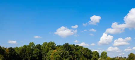Panorama of a blue sky with some fluffy white cumulus clouds at the right with treeline belowの写真素材