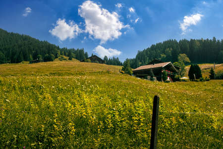 Idyllic alpine panorama with a pasture and a wooden chalet on a mountain slope, pine trees in the background under blue sky with white fluffy clouds in summer. Canton of Vaud, Switzerlandの写真素材