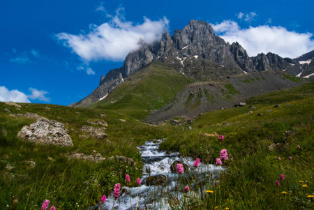 Mountain river against the backdrop of the beautiful mountain rangeの写真素材