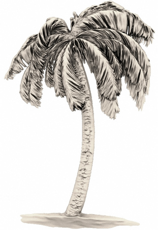 Image for design, artistic direction. 3D picture.の写真素材