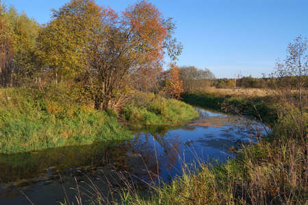autumn. river with yellow trees and blue sky.の写真素材