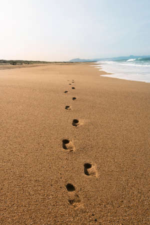 Footprints on the beach sandの写真素材