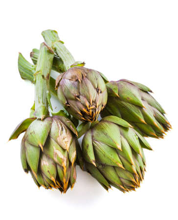 Artichokes isolated on whiteの写真素材