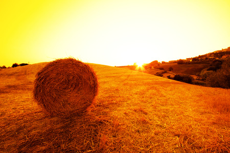 Hay Bales in the Tuscan hills at dusk.の写真素材