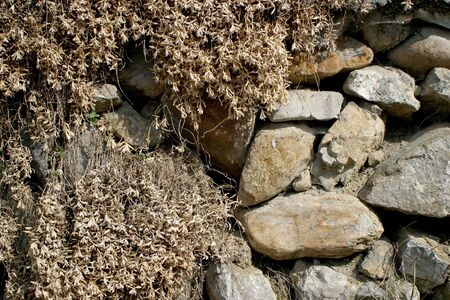 stones and grassの写真素材