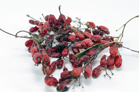 Dried medicinal herbs for making tea or decoctionの写真素材