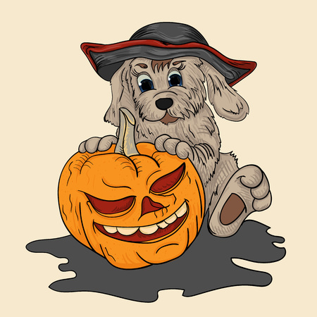 Vector illustration a dog in a pirate hat holds a pumpkin for halloweenのイラスト素材