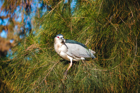 bird sitting on the branchの写真素材