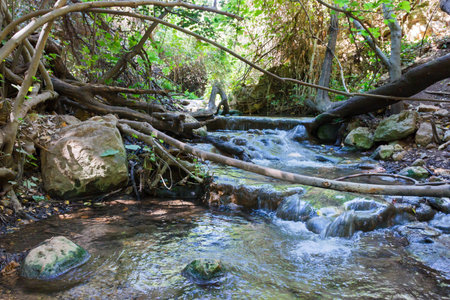 Small waterfall in a forest stream Amud in the north of Israelの写真素材