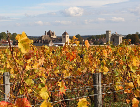 View of vineyard looking towards a french village in Burgundy   
