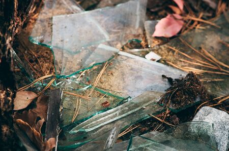 Broken glass with green tint mingled with dirt, pine needles, wood and leaves. Trash (waste,...