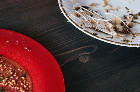 Two plates at opposite sides. Red plate with salad leftovers and white plate with fish bones. Vegetarianism and pescetarianism or meat eating conceptの写真素材