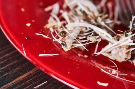 Fish bones on a single red plate. Closeup shotの写真素材