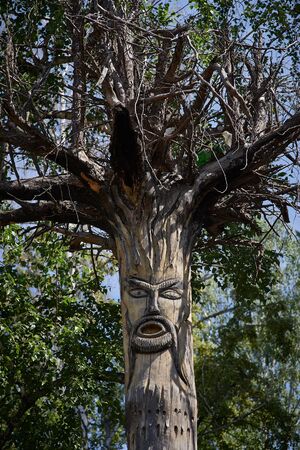 Portrait of a man cut the gallows in the summer park