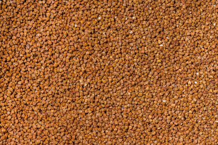 Buckwheat. Texture. Croup. Grains. Fried seeds. Textured background for wallpaper.