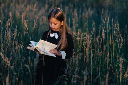 A little girl in a black dress stands in tall grass and reads a green book in the light of the...