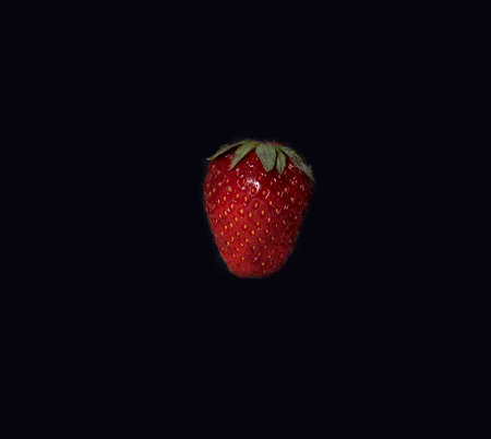Strawberry arrives from the darknessの写真素材