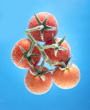 Tomatoes top view on a branch on a blue background with air bubblesの写真素材