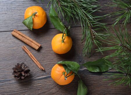Tangerines and cinnamon sticks with pine branchの写真素材