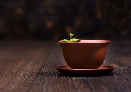 Mint leaves on a cup of teaの写真素材