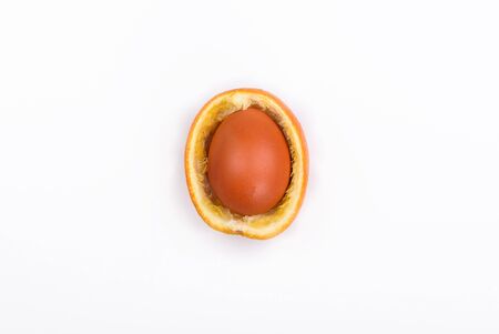 Easter light brown egg in orange peelの写真素材