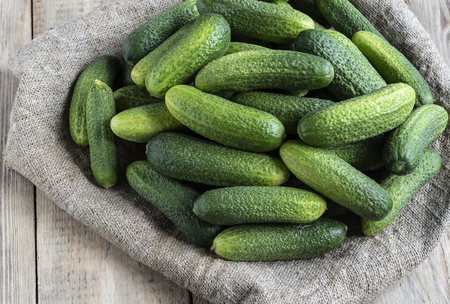 Freshly picked cucumbers lie on sackclothの写真素材