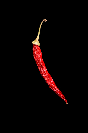 The pod of burning hot red pepper is isolated on a black background. Close up. Copy space. Border...