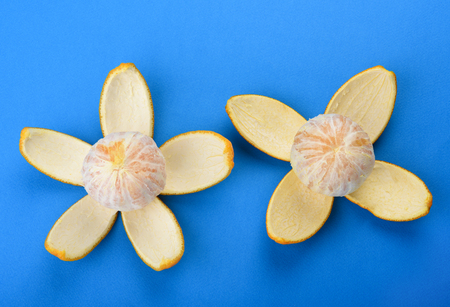 Two peeled orange isolated on blue background. Orange peel as petals. Border design.の写真素材
