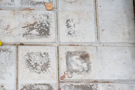 Stone tiles like paths in the garden. Top view. Close upの写真素材