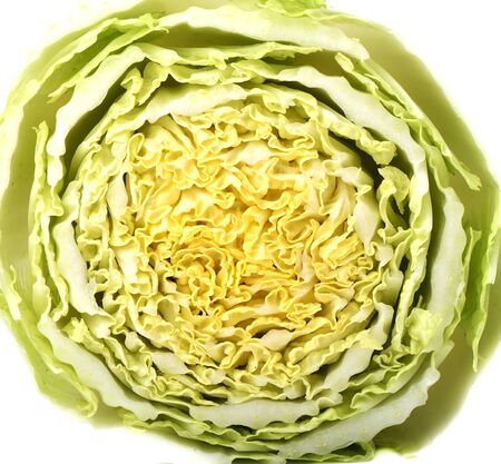 Macro shot of a slice of lettuce. Chinese cabbage close-up on a white background. The texture of lettuce.の写真素材